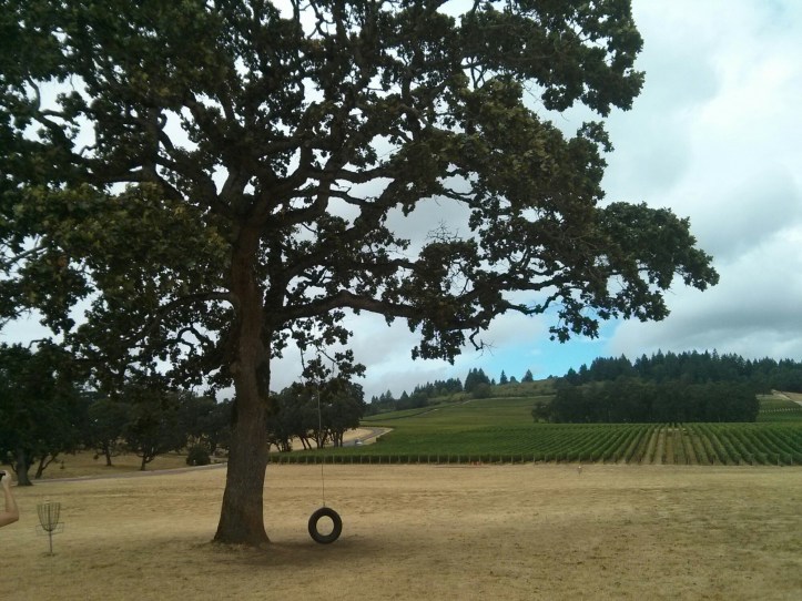 wp-1441478765204 image