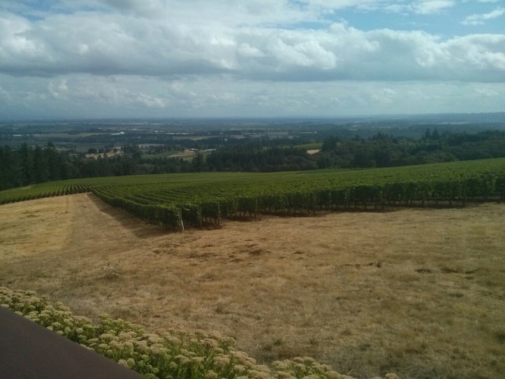 wp-1441479358704 image