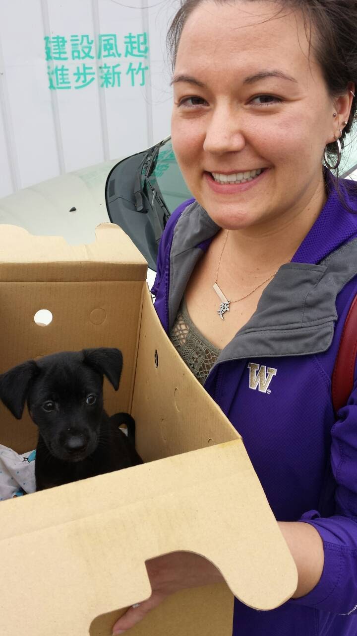 IMG-30fa861e39a4cfd1aa00119744d7125f-V