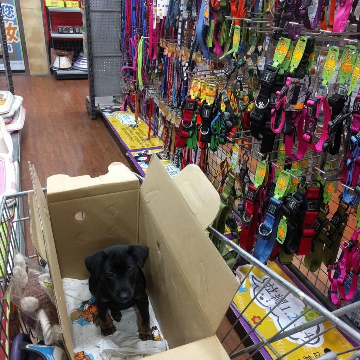 IMG_20171103_222533_621