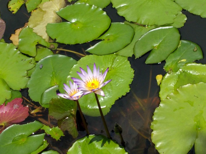 img_20190607_115251-1